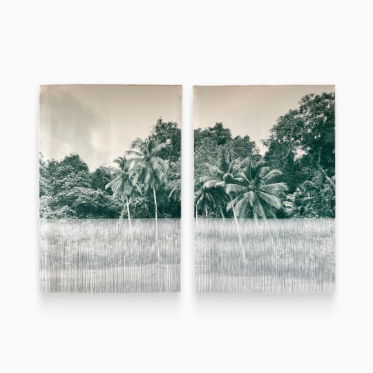 Imagen de Galeria verde 1