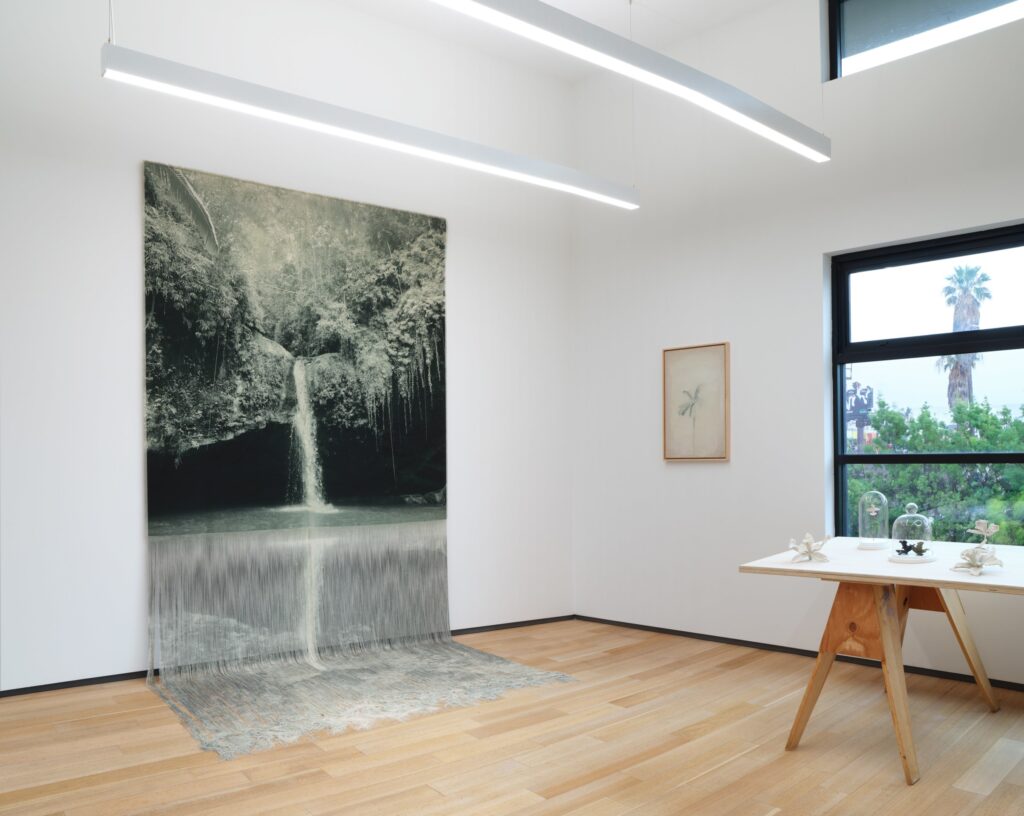 Imagen de Galeria verde 3