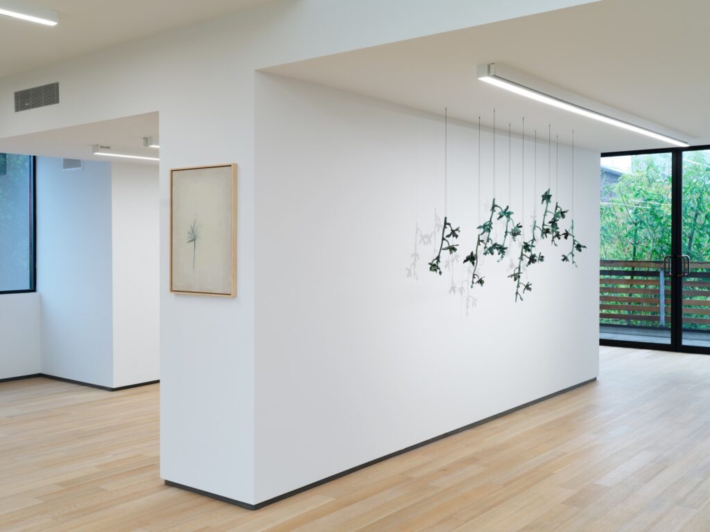 Imagen de Galeria Verde 6